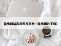 保山昆虫网站高清照片素材（昆虫图片下载）